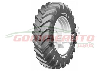 COP. 12.4/ R36 124A8/121B AGRIBIB